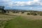 English parkland landscape