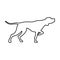 English pointer in line style