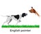 English pointer vector