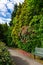 English Public Garden at late Spring with Blooming Rhododendrons