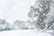 English rural countryside Winter snow landscape in heavy snow storm