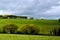 English Rural Fields