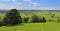 An English Rural Landscape in Somerset