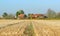 An English Rural Landscape in winter sunshine