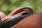 English saddle detail