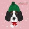 English Setter dog wearing a green woolen cap and a red woolen scarf for winter