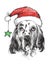English setter with santa claus hat