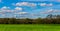 English sheep grazing in a meadow, typical British green pasture