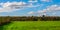 English sheep grazing in a meadow, typical British green pasture