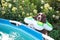 English springer spaniel dog with swimming ring afraid and looks into the pool in garden