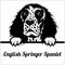 English Springer Spaniel - Peeking Dogs - - breed face head isolated on white