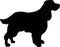 English Springer Spaniel silhouette black