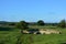 English summer landscape in North Yorkshire, an AONB