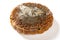 English translation of Chinese-fortune-angle view badly moldy moon cake on white background