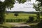 English Vineyard. Surrey. England