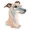 The English Whippet watercolor hand painted dog portrait