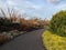 English winter garden with path and cloud sky