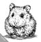 Engrave ink draw hamster illustration