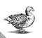 Engrave ink draw isolated duck illustration