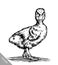 Engrave ink draw isolated duck illustration