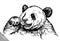 Engrave ink draw panda illustration
