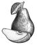 Engrave isolated pear hand drawn graphic illustration