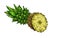 Engrave isolated pineapple hand drawn graphic illustration