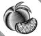 Engraved engrave vector illustration of a peach