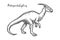 Engraved Parasaurolophus dino or sketch dinosaur vector