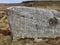 Engraved rock in the countryside