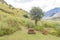 Engraved rock directional signs at start of Injisuthi hiking trails