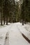 Engraved in Snow: Tire Trails Along Radiant Forest Highways. Pokainu Mezs, Dobele, Latvija