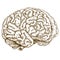 Engraving antique illustration brain