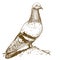 Engraving antique illustration of dove