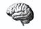 Engraving brain with black on white BG