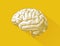 Engraving brain illustration on yellow BG