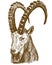 Engraving drawing illustration of siberian ibex