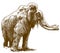 Engraving drawing illustration of woolly mammoth