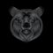 Engraving of stylized silver bear on black background