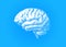 Engraving white brain on blue BG