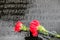 Engravings and flowers on a grave in the Red Army Cemetery in Bucharest during a cold and rainy winter day