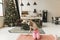 Engrossed in yoga practice, a fitness enthusiast wears virtual reality goggles by a Christmas tree.