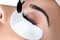 Enhancing Beauty: Applying Silk Eyelash Extensions in a Beauty Studio