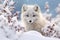 Enigmatic Arctic Foxes