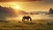 The Enigmatic Beauty of Arabian Horses on a Misty Field Under Orange Sundown Rays