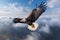 Enigmatic beauty, Fish Eagle\\\'s flight transcends the earthly realm, soaring above clouds