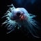 Enigmatic Bioluminescent Anglerfish in the Mysterious Deep Sea Abyss