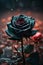 Enigmatic Black Rose Amidst Mist, Evoking Moody Floral Elegance in Dark Rose Wallpapers