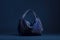 The Enigmatic Blue Purse