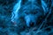 Enigmatic Blue Toned Portrait of a Mystical Wolf Hiding Amongst Shadows of the Wild